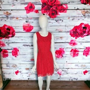 Loft Dress 8 Red Lace